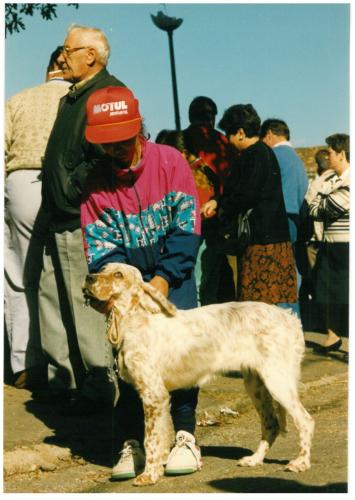 1991 cans de caza 004
