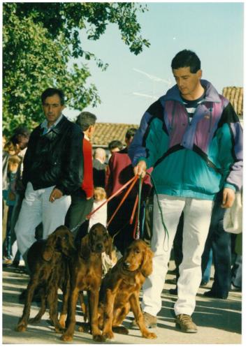 1991 cans de caza 012