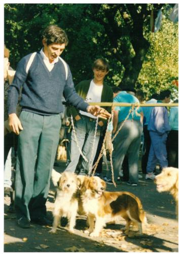 1991 cans de caza 016