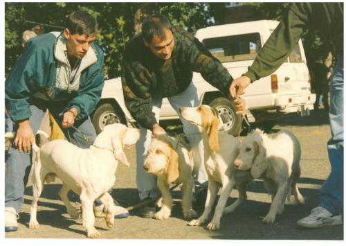 1991 cans de caza 023