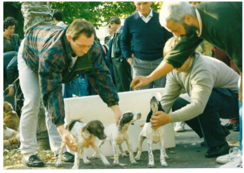 1991 cans de caza 024