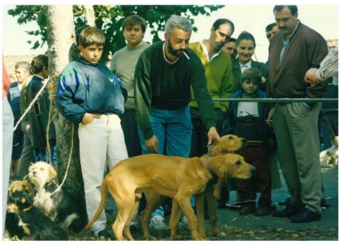 1991 cans de caza 029