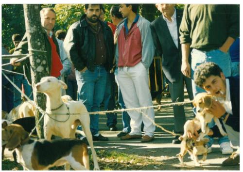 1991 cans de caza 030