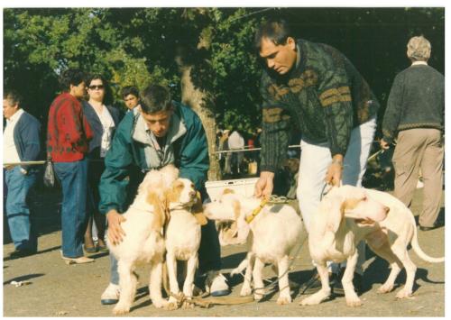 1991 cans de caza 037
