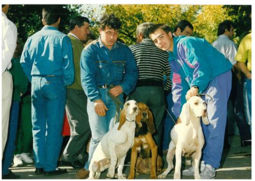 1991 cans de caza 038