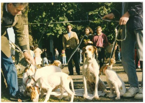 1991 cans de caza 039