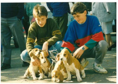 1991 cans de caza 040