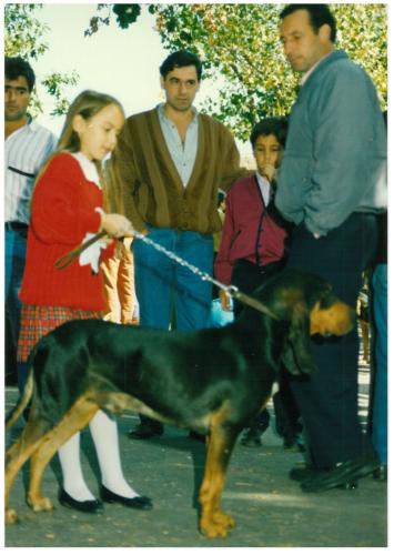 1991 cans de caza 045