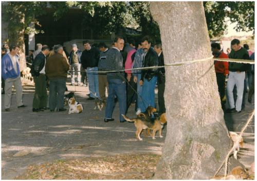1991 cans de caza 050