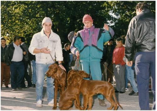 1991 cans de caza 054