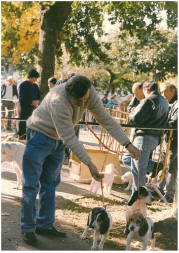1991 cans de caza 060
