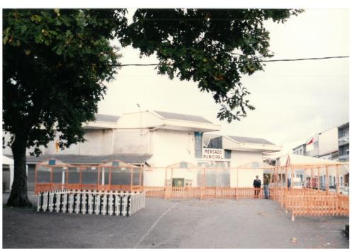 1992 cans de caza 018
