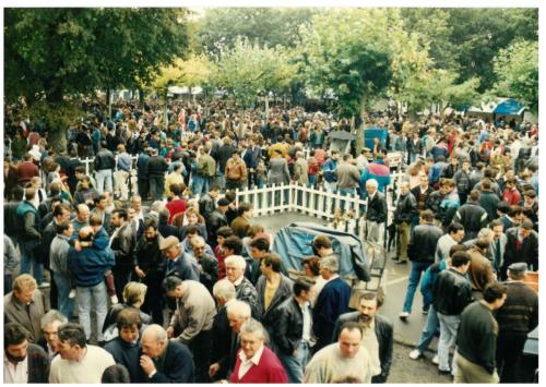 1992 cans de caza 019