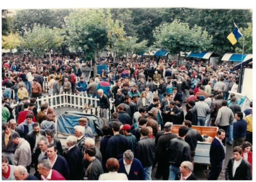1992 cans de caza 024