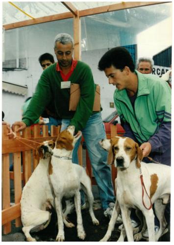1992 cans de caza 043