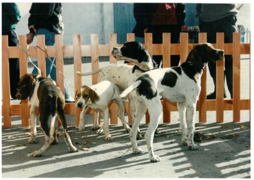 1992 cans de caza 062