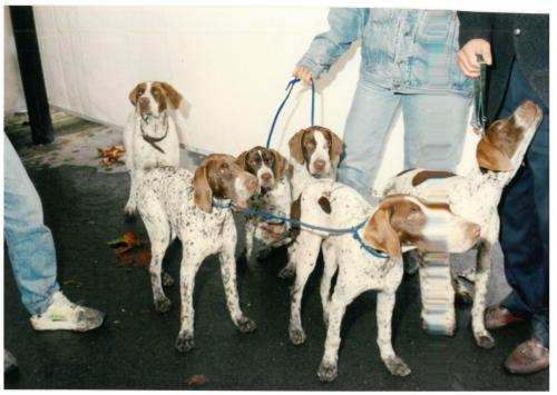 1992 cans de caza 080