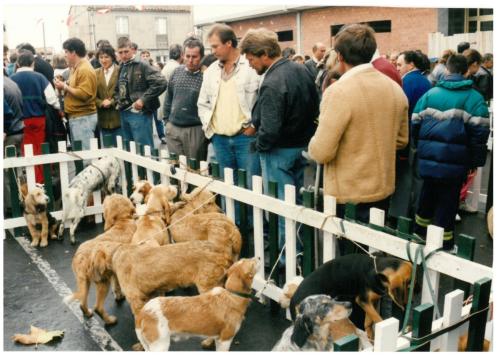 1992 cans de caza 084