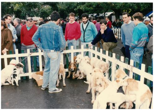 1992 cans de caza 086