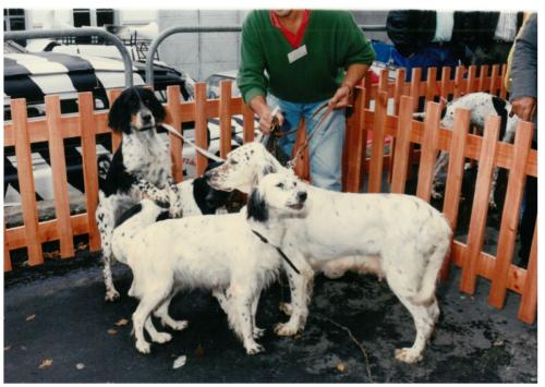 1992 cans de caza 088