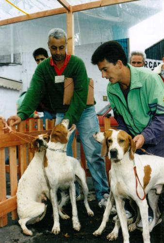 1992 cans de caza 117