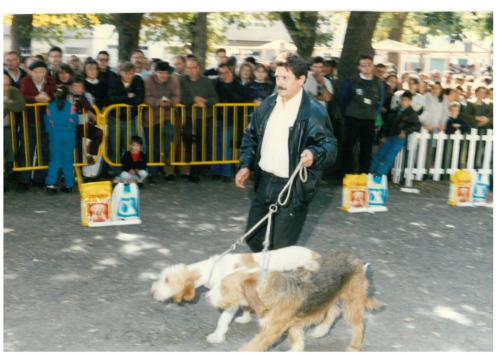 1992 cans de caza 121
