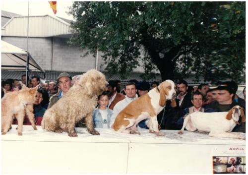 1992 cans de caza 137