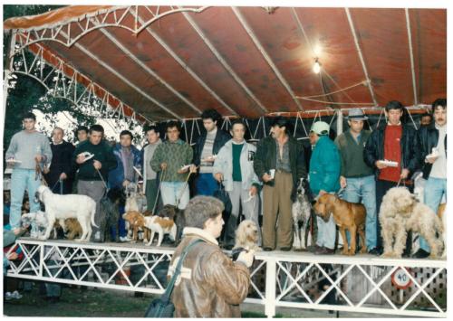 1992 cans de caza 151