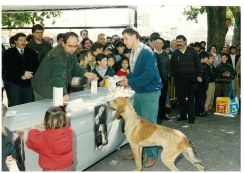 1992 cans de caza 163