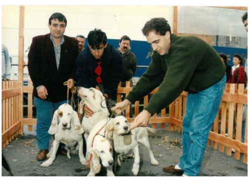 1992 cans de caza 174