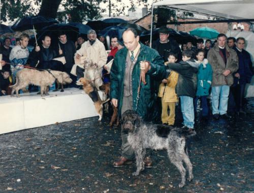 1993 Cans de Caza recortada 01