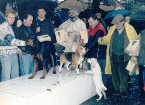 1993 Cans de Caza recortada 04
