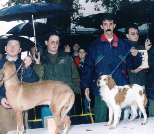 1993 Cans de Caza recortada 06