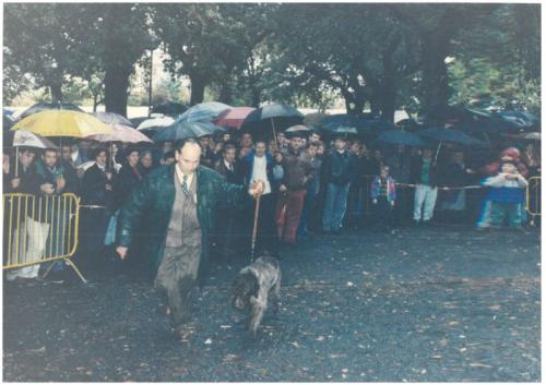 1993 Cans de caza 04