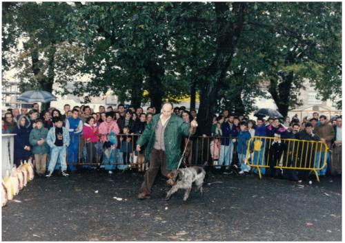 1993 Cans de caza 13