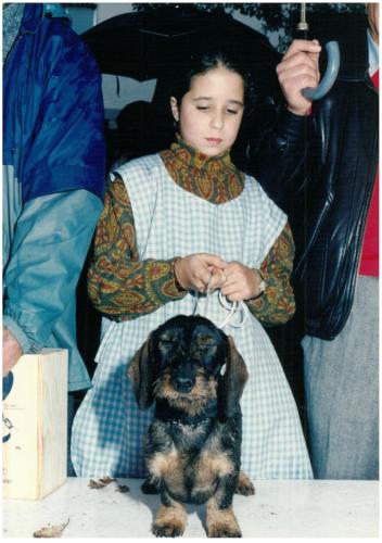1993 Cans de caza 23