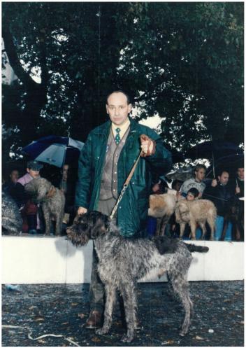 1993 Cans de caza 24
