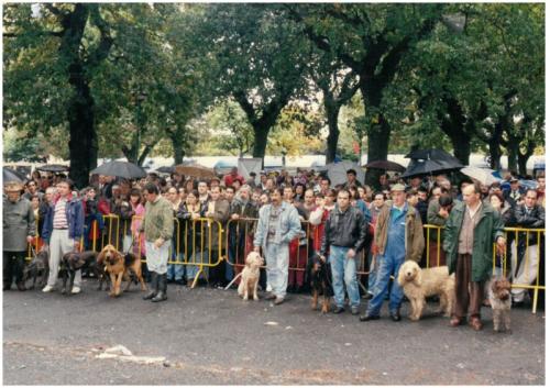 1993 Cans de caza 31