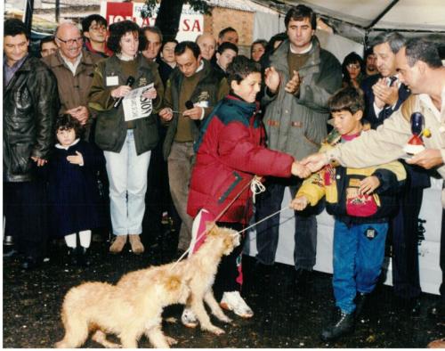 1993 Cans de caza 39