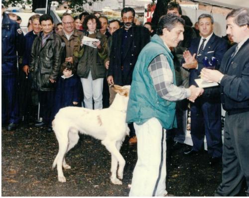 1993 Cans de caza 41