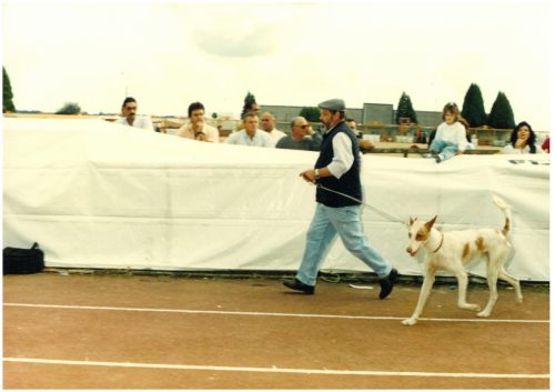 1994-Campo-do-Viso-27