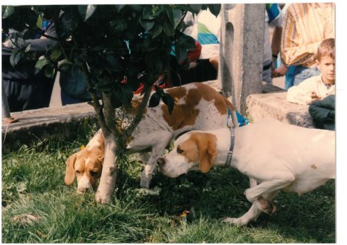1994-Campo-do-Viso-47