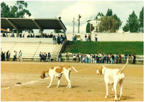 1994-Campo-do-Viso-49
