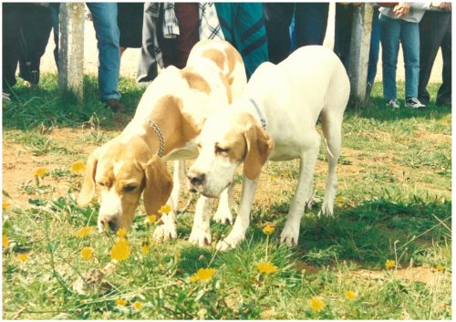 1994-Campo-do-Viso-50