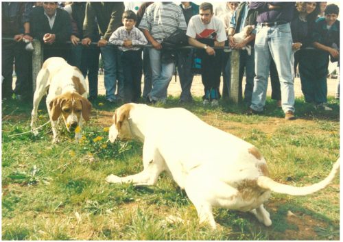 1994-Campo-do-Viso-57