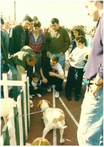 1994 Cans de caza 2 18