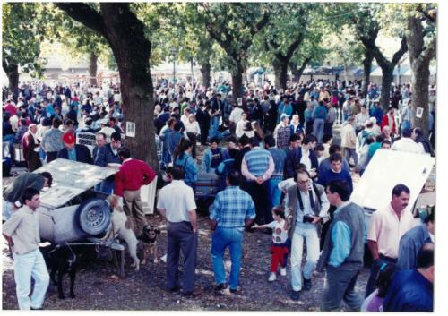 1995 Cans de caza 17