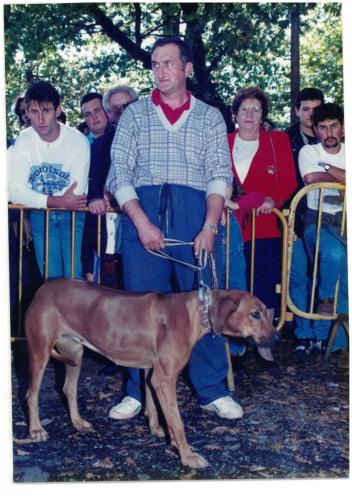 1995 Cans de caza 29