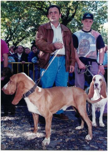 1995 Cans de caza 35