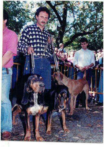 1995 Cans de caza 36